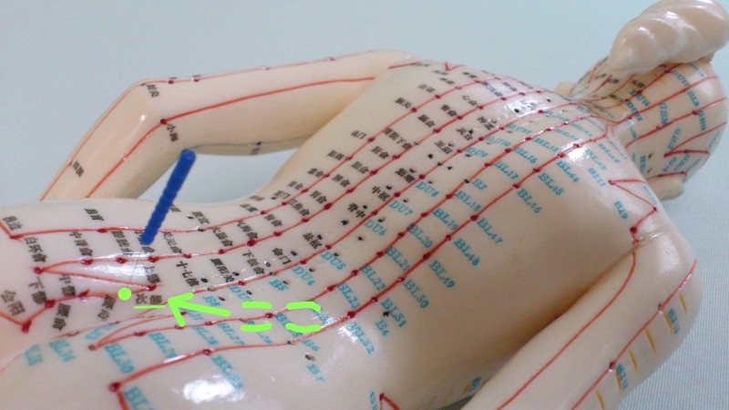 必見！女性ホルモンを増やすツボ